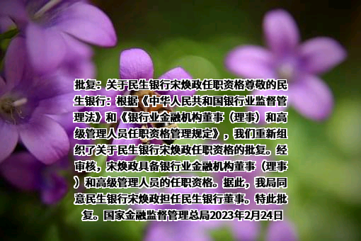 民生银行股份有限公司