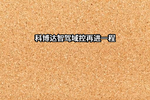 科博达技术股份有限公司