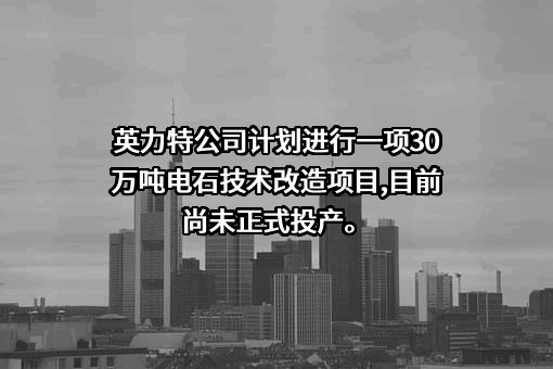 宁夏英力特化工股份有限公司