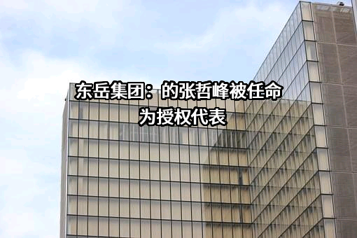 东岳集团有限公司
