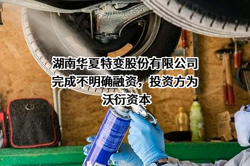 湖南华夏特变股份有限公司