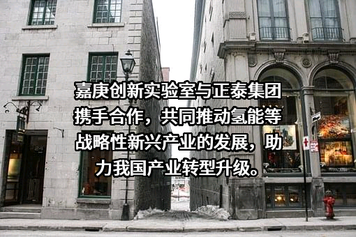 正泰集团股份有限公司