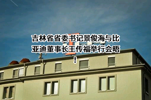 比亚迪股份有限公司