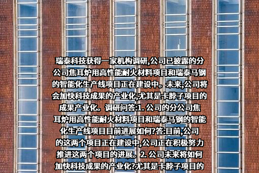 瑞泰马钢新材料科技有限公司