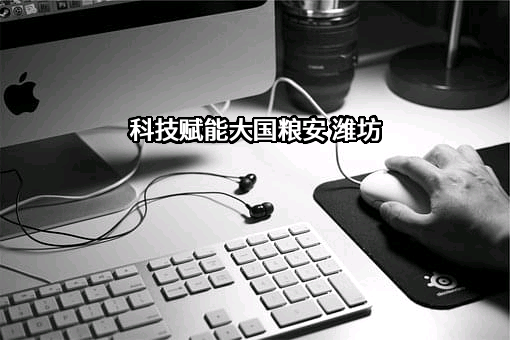 山东潍柴雷沃传动有限公司