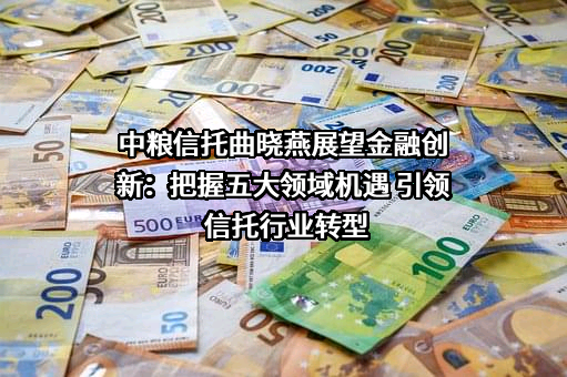 中粮信托有限责任公司