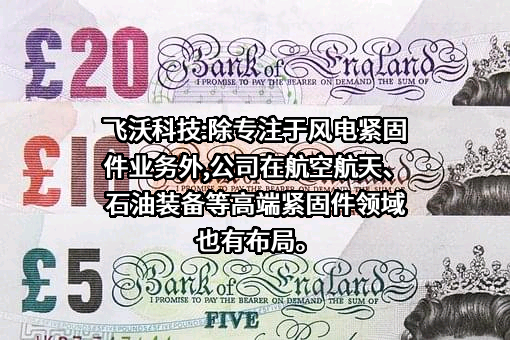 湖南飞沃新能源科技股份有限公司