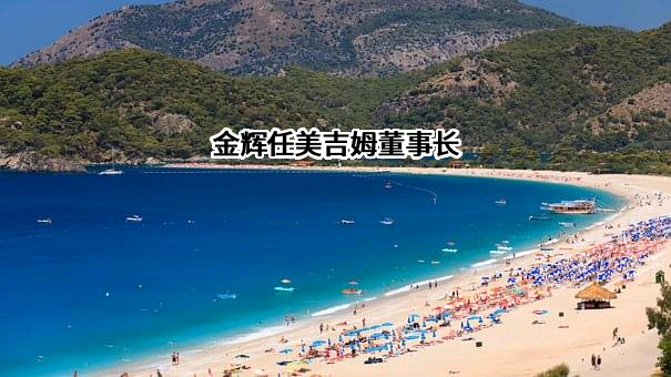 大连美吉姆教育科技股份有限公司