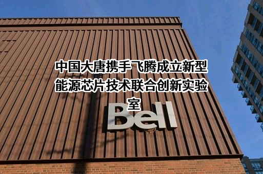 大唐可再生能源试验研究院有限公司