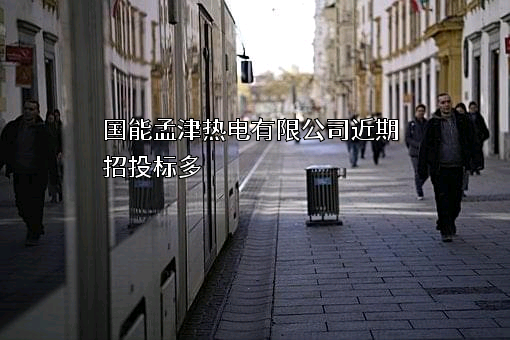 国能孟津热电有限公司近期招投标项目多