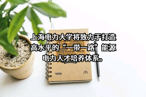 上海电力大学