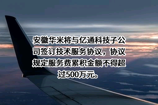 合肥鲸鱼微电子有限公司