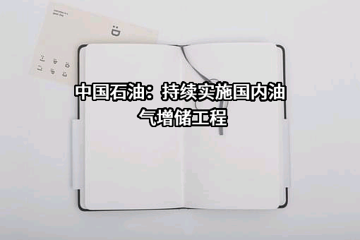 中国石油天然气股份有限公司