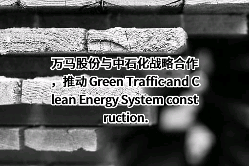 中国石油化工集团有限公司