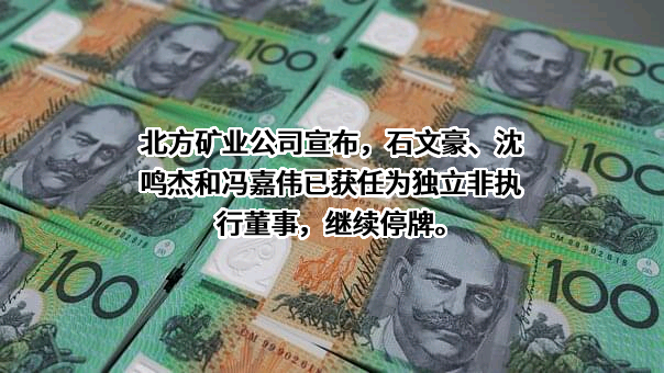 北方矿业有限责任公司