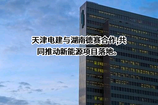 湖南德赛电池有限公司