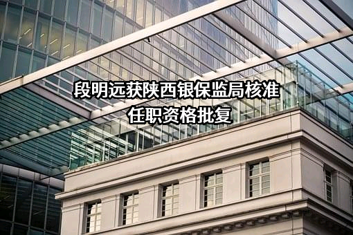比亚迪汽车金融有限公司
