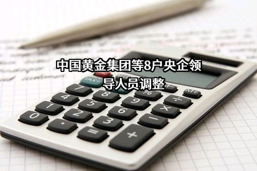 中国国新控股有限责任公司
