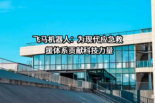 天津飞马机器人科技有限公司