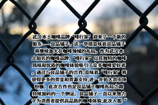 良品铺子股份有限公司