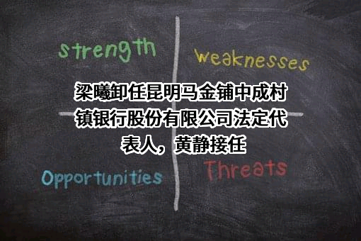 昆明马金铺中成村镇银行股份有限公司