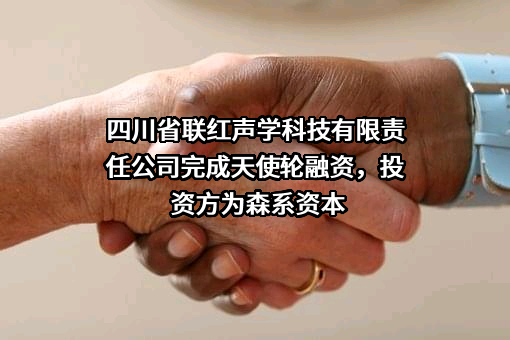 四川省联红声学科技有限责任公司