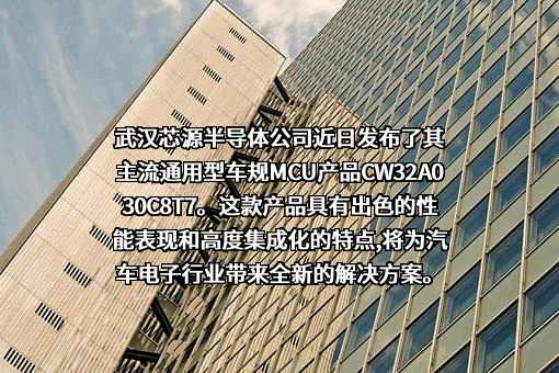 武汉芯源半导体有限公司