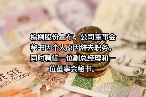 棕榈生态城镇发展股份有限公司