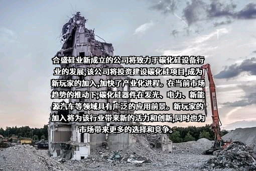 合盛硅业股份有限公司