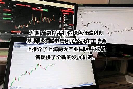 临港集团子公司