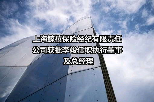上海鲸禧保险经纪有限责任公司