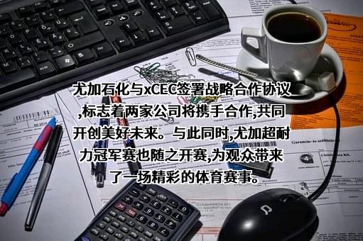 山东新潮能源股份有限公司
