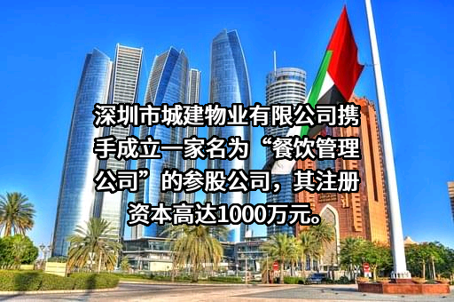 深圳市城建物业管理有限公司