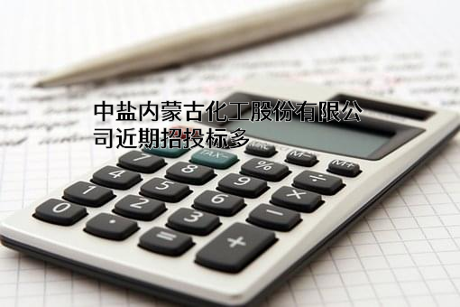 中盐内蒙古化工股份有限公司近期招投标项目多