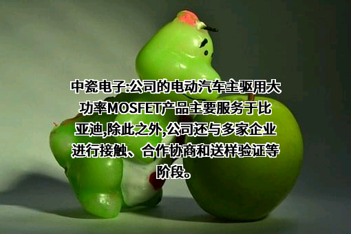 河北中瓷电子科技股份有限公司