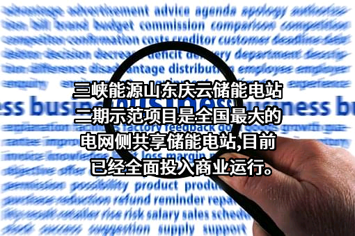 中国三峡新能源（集团）股份有限公司