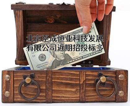 北京至成恒业科技发展有限公司