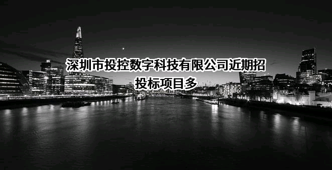 深圳市投控数字科技有限公司