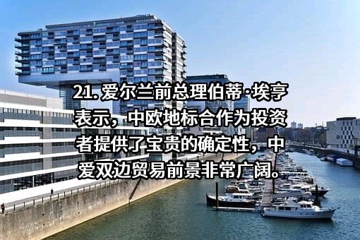 中国农业国际合作促进会