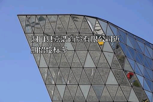 洞口县嘉浩商贸有限公司
