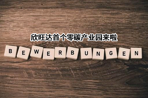 欣旺达电子股份有限公司