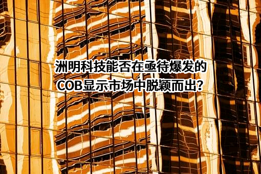 深圳市洲明科技股份有限公司