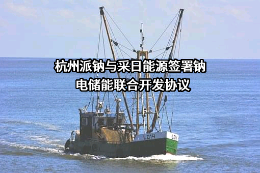上海采日能源科技有限公司