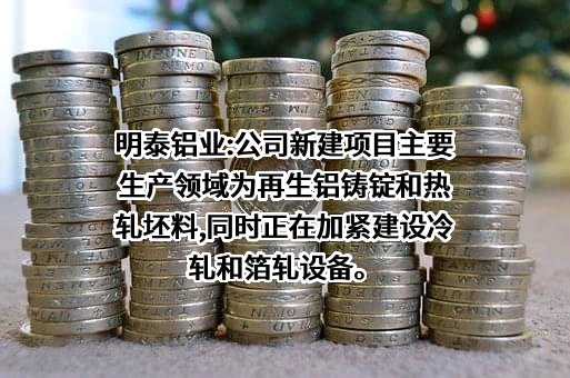 河南明泰铝业股份有限公司