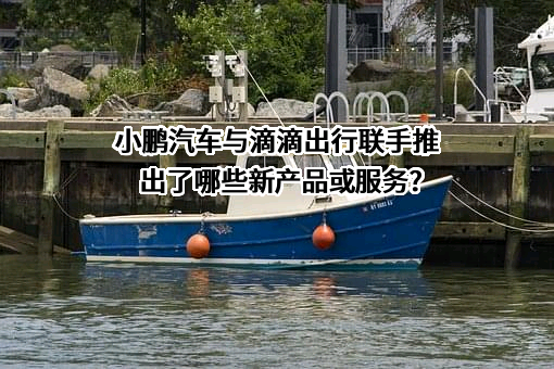 特斯拉（上海）有限公司