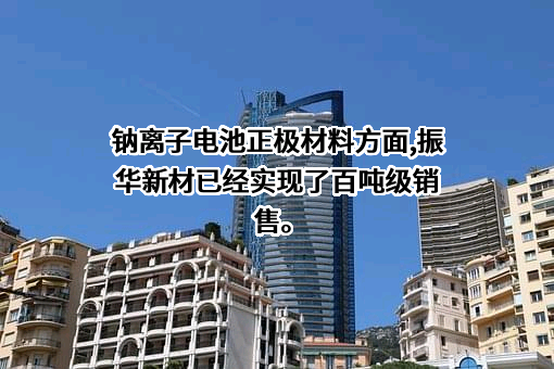 贵州振华新材料股份有限公司