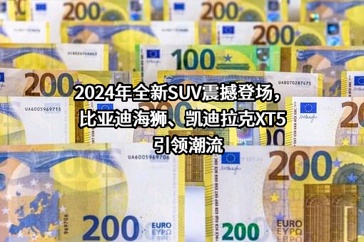 比亚迪股份有限公司