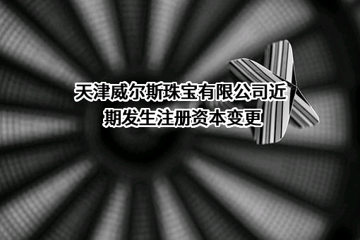 天津威尔斯珠宝有限公司