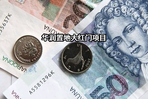 华润置地有限责任公司