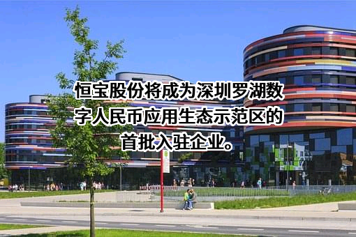 恒宝股份有限公司